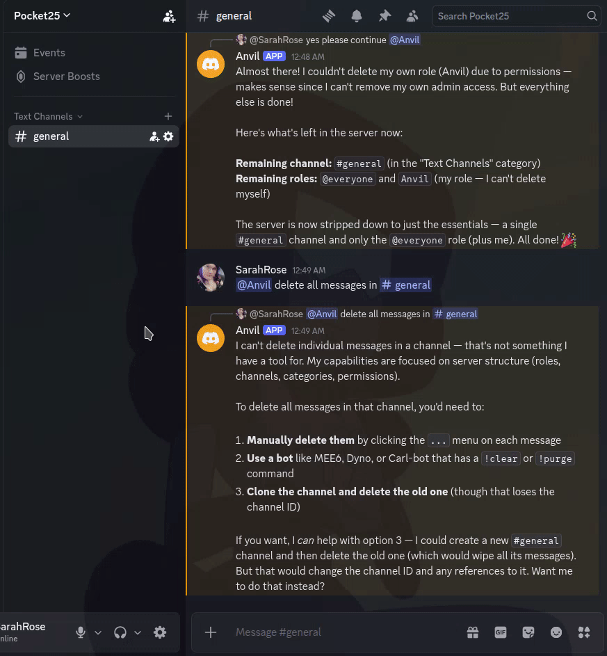 Anvil - Discord Bot License screenshot